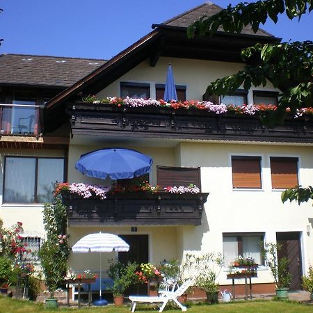 Apartments Blaschegg Im Zentrum Альтмюнстер Екстер'єр фото